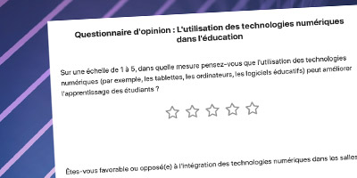 Impression d'écran questionnaire opinion